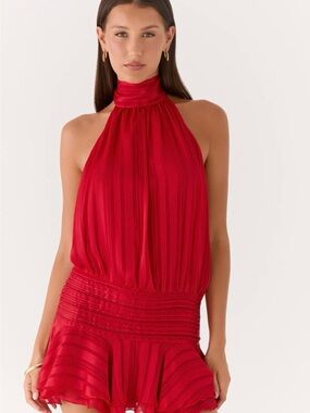 Peppermayo Red Willow chiffon mini dress